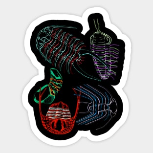 Ordovician Era Trilobites 2 Sticker